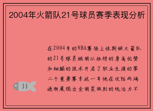 2004年火箭队21号球员赛季表现分析